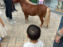 -灵玲国际马戏城