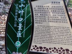 -山叶口景区