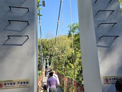 -西双版纳原始森林公园