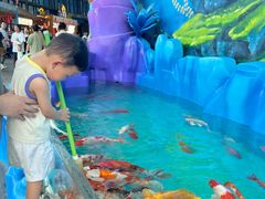 -海合安成都极地海洋公园