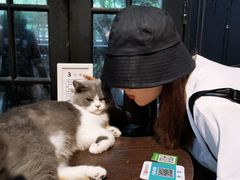 -猫色咖啡·猫咖