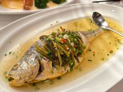 -老洋房花园饭店(绍兴路店)