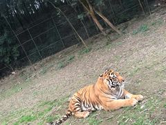 -乐和乐都主题乐园