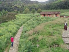 -广州市石门国家森林公园
