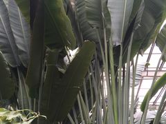 -龙达温泉生态城
