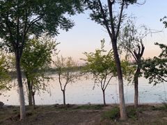 -天津东丽湖风景区