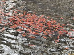 -水磨沟公园