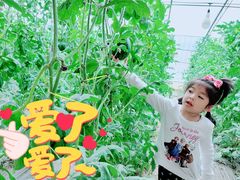 -西瓜小镇