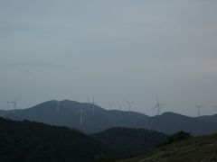 -大姆山草场