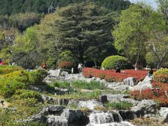 -云龙湖旅游景区