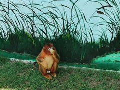 -西霞口神雕山野生动物世界