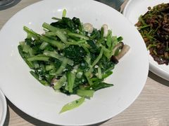 -斯琴阿妈蒙古餐厅(新城店)