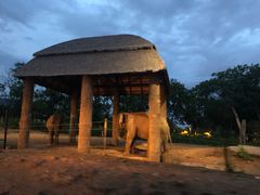 -清迈夜间动物园