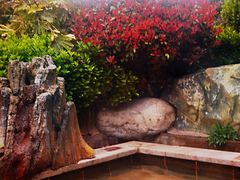 -郑州银基黄帝宫御温泉