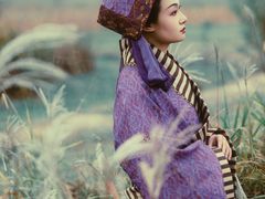 -盘龙城国家考古遗址公园