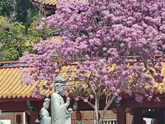 -天竺岩寺