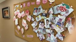 -上海百佳妇产医院