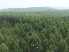 -塞罕坝国家级自然保护区