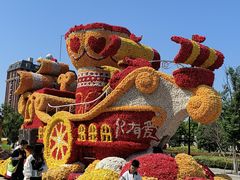 -荷兰花海