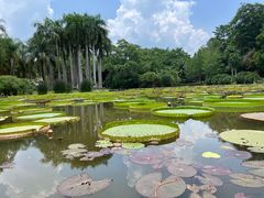 -中国科学院西双版纳热带植物园