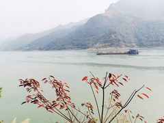 -羚羊峡古栈道森林公园
