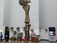 -自贡恐龙博物馆