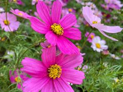 -桃花涧