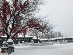 -祥源·阜阳生态乐园