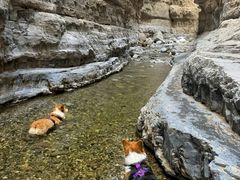 -龙门涧景区