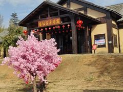 -崇阳三特浪口温泉