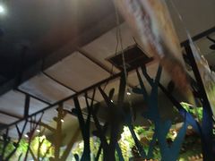 大堂-湘当爱·鲜煮现炒(松岗立业路店)