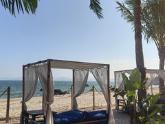 -精酿农场Brew Farm·沙漠绿洲餐厅