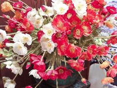-洪焱重庆老火锅(万福花园店)