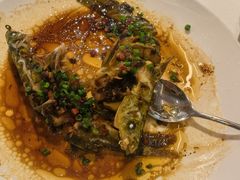 -陶缘一号·四季缘·老字号顺德菜·户外婚礼家宴(西滘店)