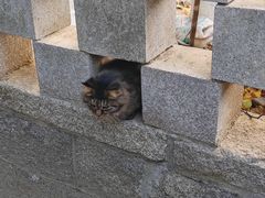 -青岛崂山太清宫