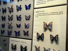 -天津自然博物馆