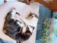 -Peet's Coffee皮爷咖啡(豫园店)