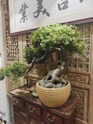 -六宫Spa女子养护中心