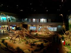 -自贡恐龙博物馆