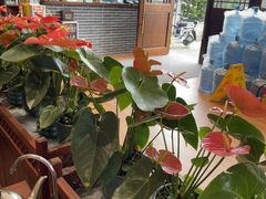-顺德一品粥·20年凤城老字号(芳村店)
