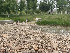 -皇粮浜湿地公园