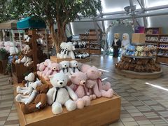 -济州岛泰迪熊博物馆