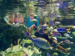 -海合安成都极地海洋公园