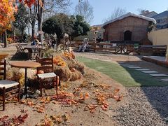 -HERRE·FARM 赫尔露营农场·团建聚会包场