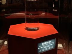 -金沙遗址博物馆