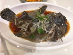 -双井轩(双井店)