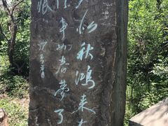 -高尔山公园