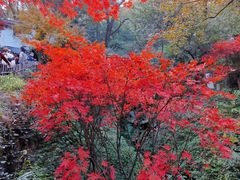 -岳麓山风景名胜区