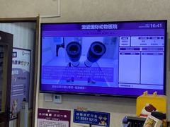 -宠爱国际动物医院·疑难骨科·心肾内科·皮肤科(太阳宫店)