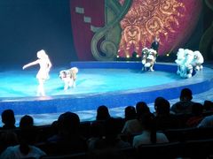 -珠海横琴长隆《卡卡虎奇遇记》